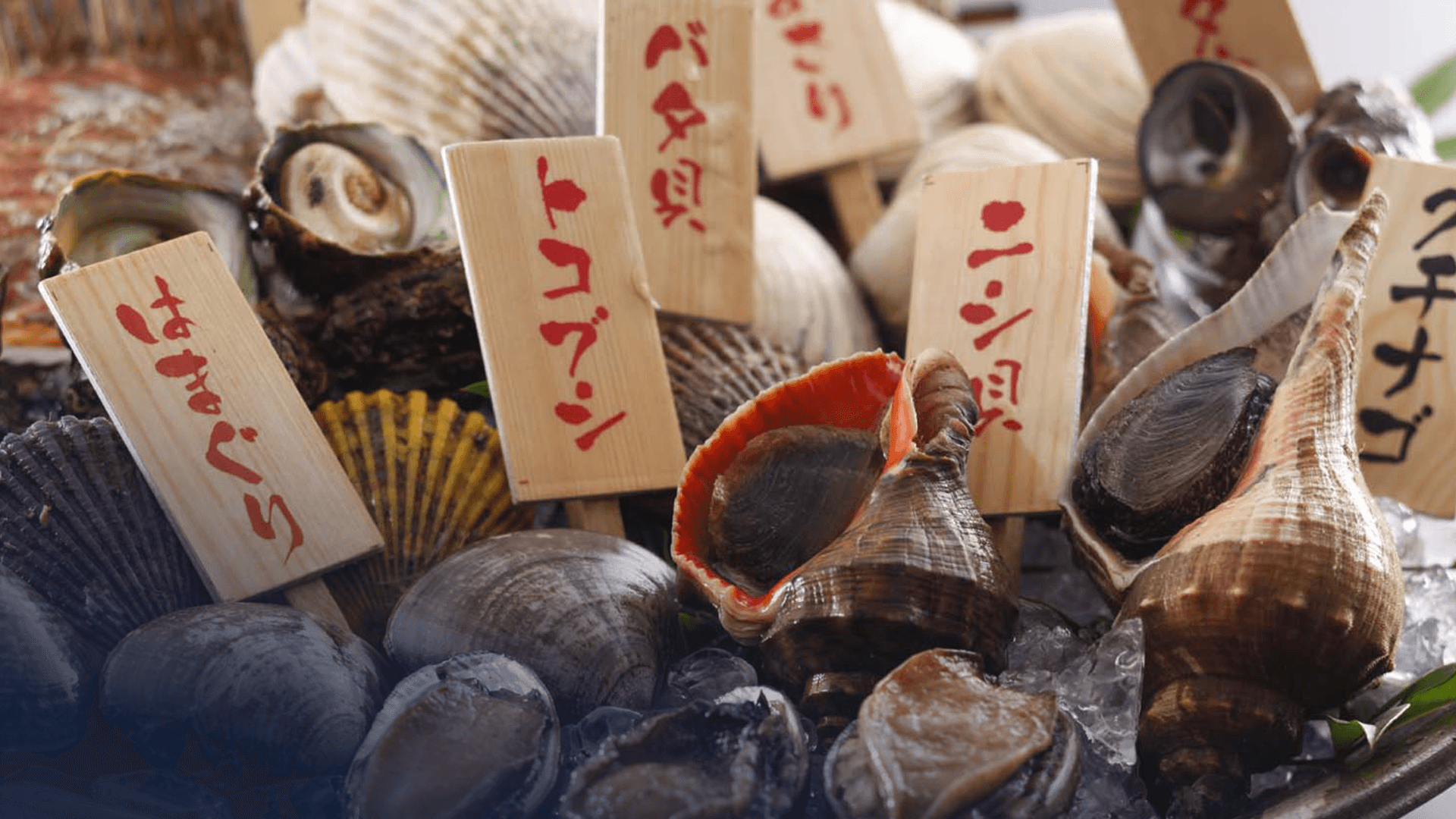 名物「活貝プリフィックス」